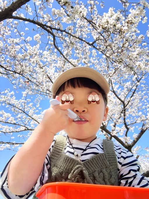 娘っ子とお花見して来ましたポカポカ陽気で最高でした! 