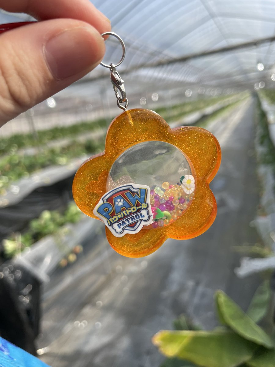 akrn_015's tweet photo. 息子と一緒にシェイカーキーホルダー
作りました✌️

小さな手で入れる���のを1つずつ数えてたのに
最後はめっちゃ大雑把🤣

大満足だったらしくて
早速自分のお財布につけてくれました😭💓

頑張ってよかったよー😭💓💓💓

 #GreenOcean2023謎福袋
 #隠れ工房GreenOcean
 #レジン https://t.co/CLpuOwmXQL