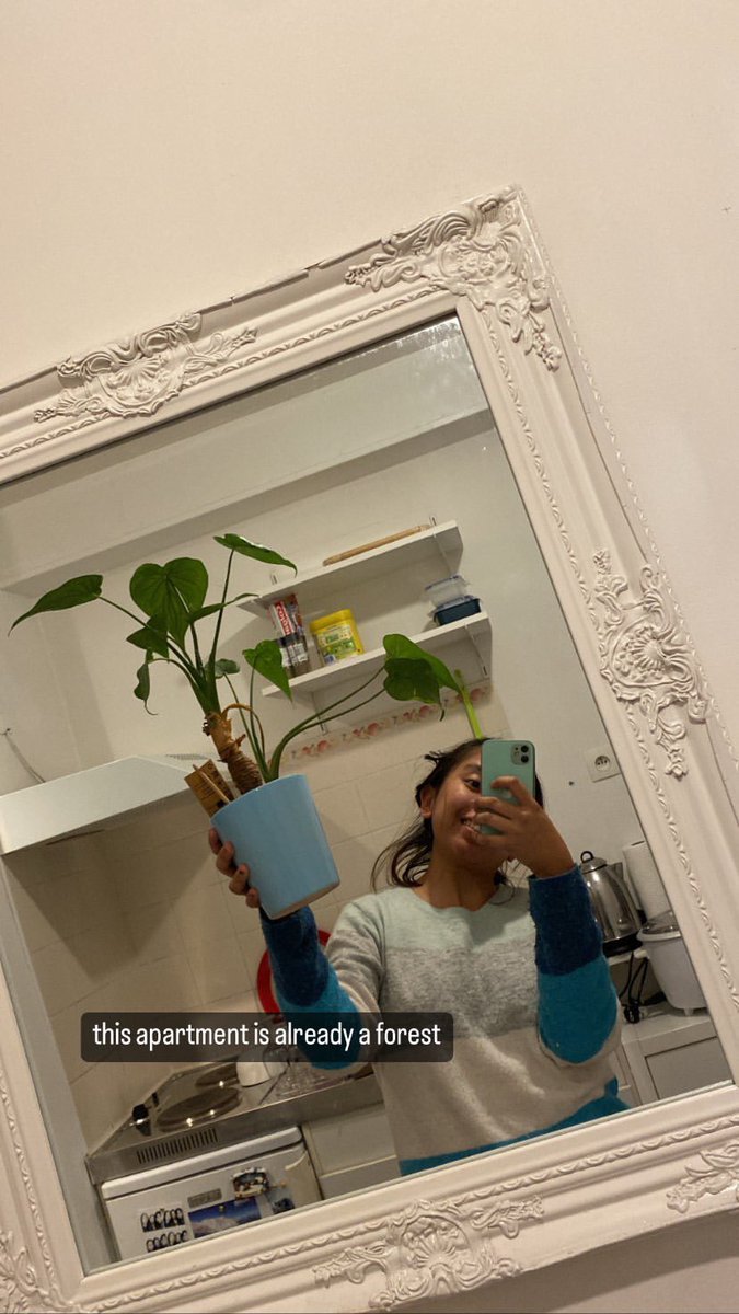 four months since i moved in my tiny apartment