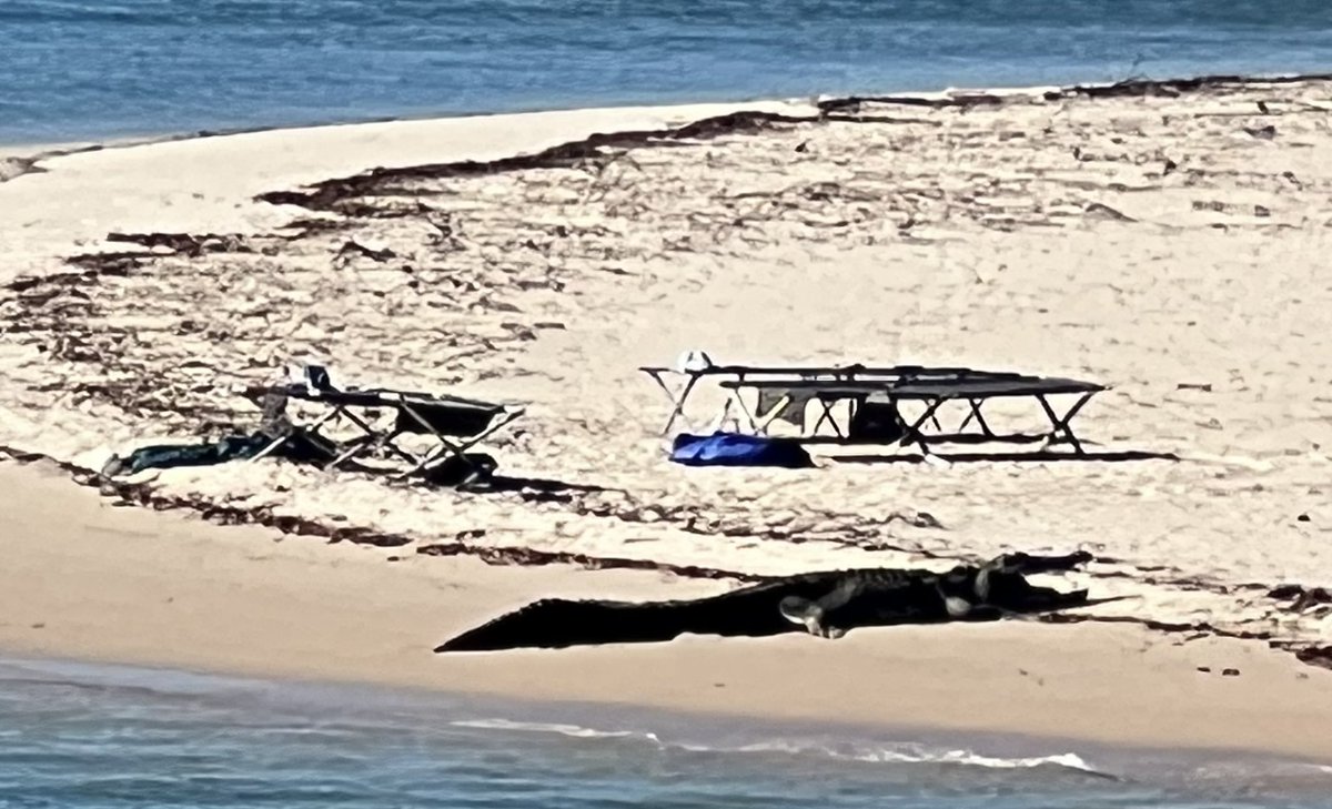 On our way out of King George River at the mouth and we find someone’s camp.  😂 They have a visitor 🐊 😂 😂 Hope he didn’t drink all their 🍻 beer.   #Kimberleys #DiversityCharters