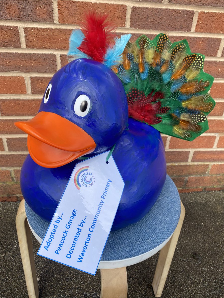 #chesterhour 

Please vote for the Peacock Garage Duck decorated by #Waverton Community Primary School bit.ly/3FVtF8e 

#Chester #DuckRace