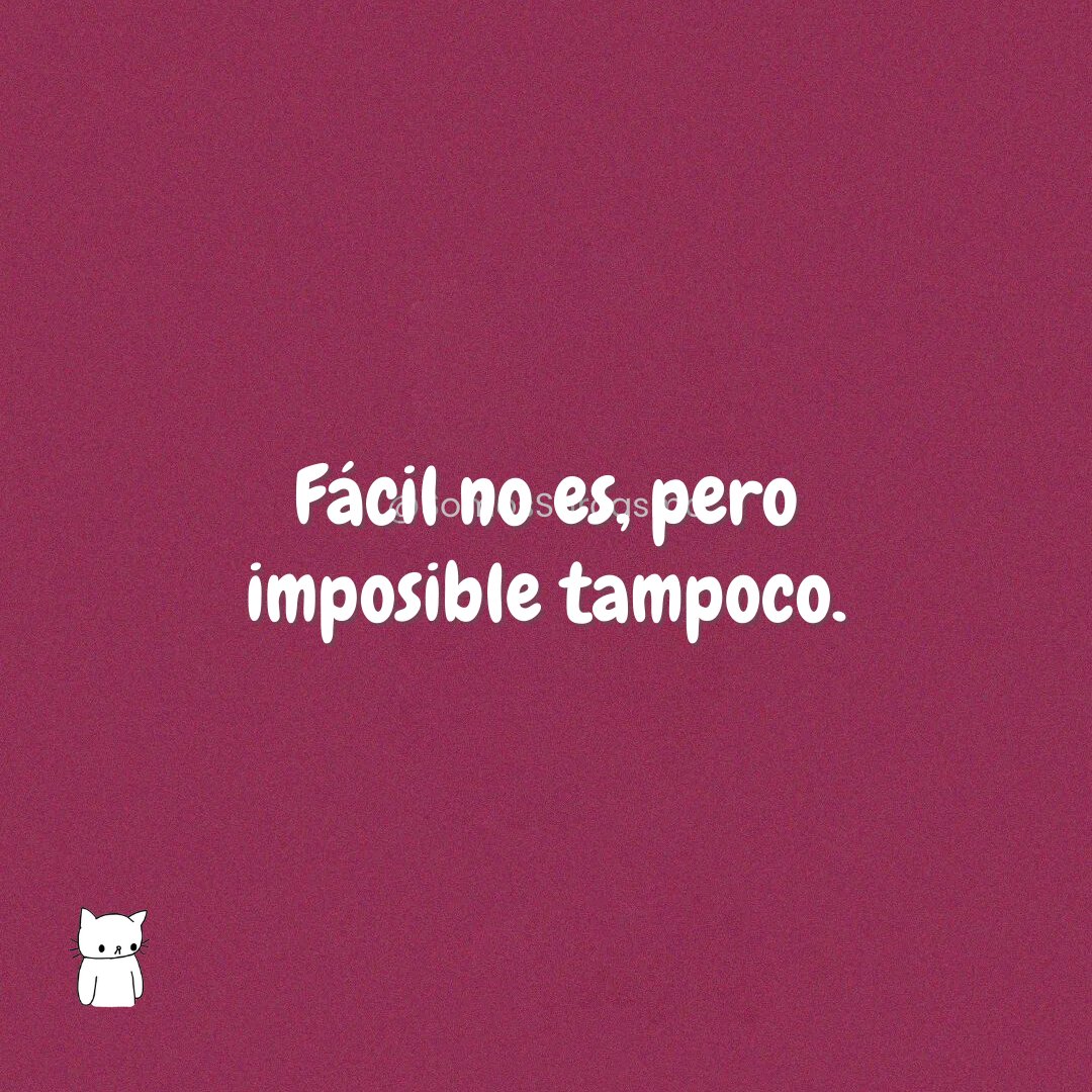 SomosSarcasmo's tweet image. 