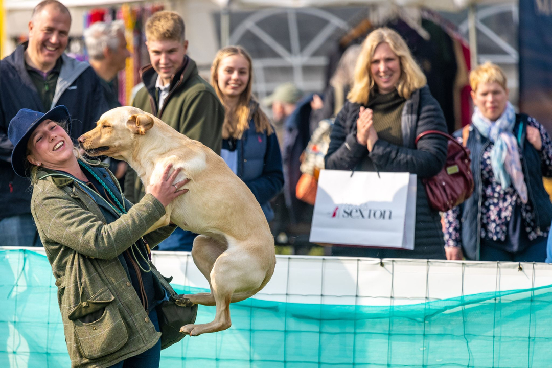 Who else is counting down the days until this year's show? We can't wait to see you and your dog on April 22nd &amp; 23rd! 

Follow the link in our bio for advance discounted tickets! 

#gamefair #gameandcountryfair #norfolkgamefair #ukgamefair #dogsofinsta #countryshow #countrylivin