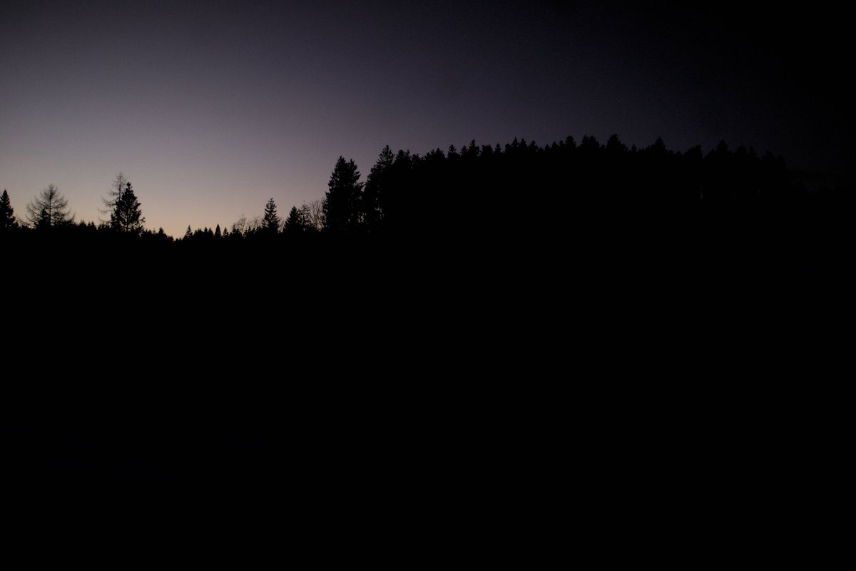 orgravenblack's tweet photo. An evening over the forest. A little over edited but not by accident, What do you think?
#photo #photography #photographylovers
#nature #naturephotography #naturelovers
#landscape #landscapephotography #landscapelovers #art #artphotography #artlovers
#evening #eveningphotography https://t.co/uJTLW1PFiy