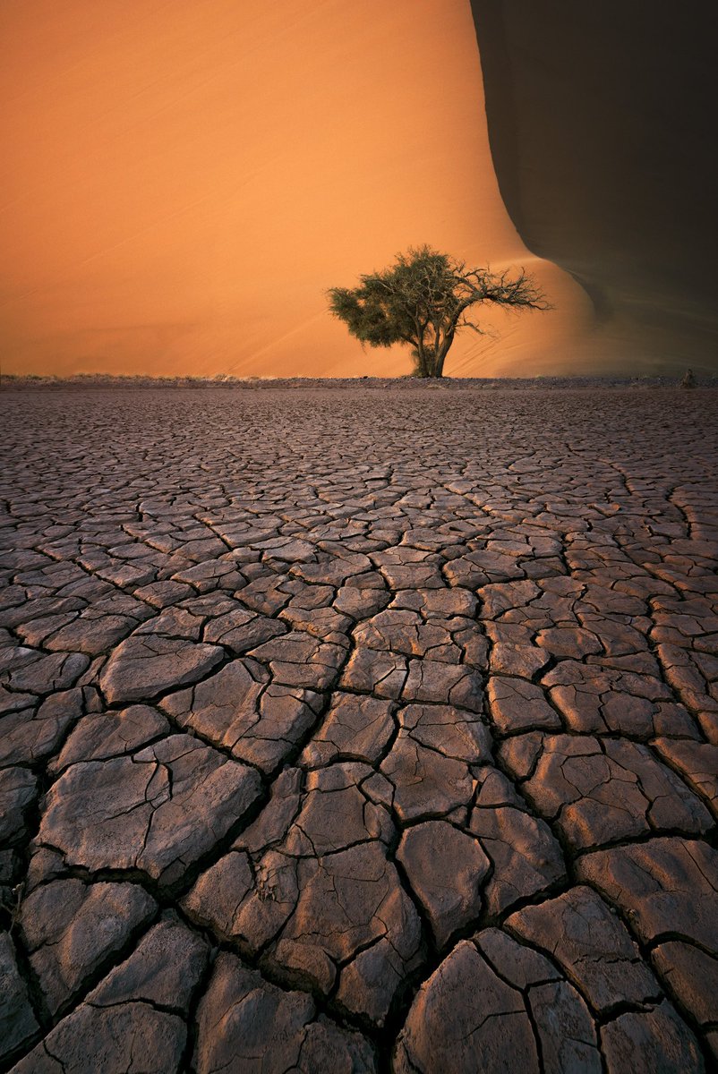 Daniel Viñé tweet media