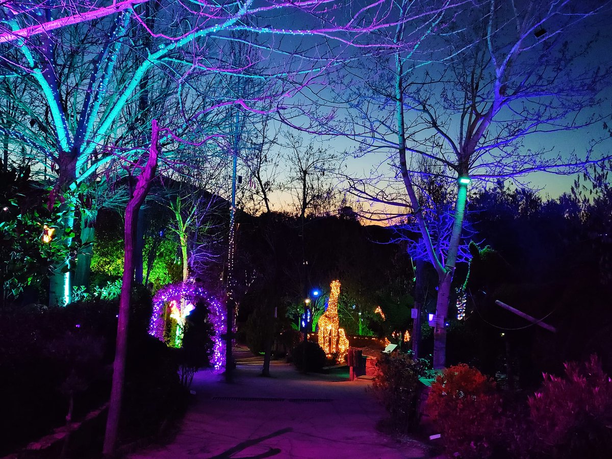 vivelavidaroca's tweet photo. 🔙 Hemos vuelto al @Bosque_madrid 
🤫 nos chivaron que habían puesto más #iluminación y...
¡Este es el resultado! 
😮 Muy pronto tendremos sorpresitas por aquí. ¡Estate atento! https://t.co/mB3cyVOdnk
