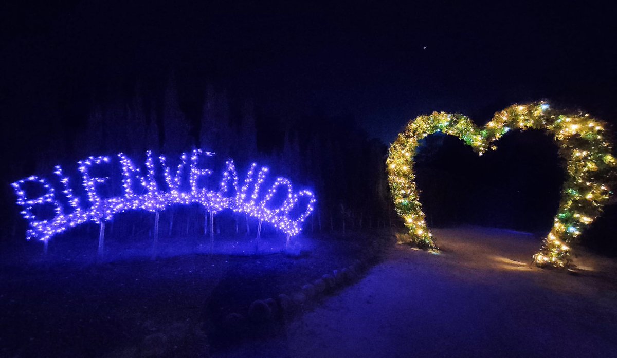 vivelavidaroca's tweet photo. 🔙 Hemos vuelto al @Bosque_madrid 
🤫 nos chivaron que habían puesto más #iluminación y...
¡Este es el resultado! 
😮 Muy pronto tendremos sorpresitas por aquí. ¡Estate atento! https://t.co/mB3cyVOdnk