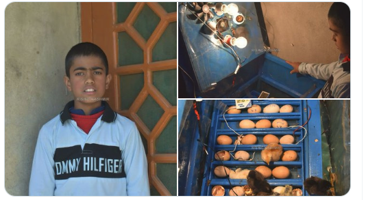 IshfaqMir_'s tweet photo. Momin Ishaq Teeli, a 10-year-old boy from the Munad Guffan area of #SouthKashmir’s Kulgam dist has developed a low-cost portable egg incubator to benefit the poultry sector in the area. 
The incubator can hatch dozens of eggs at one time.
#Kashmir https://t.co/kN0AeSab0Z
