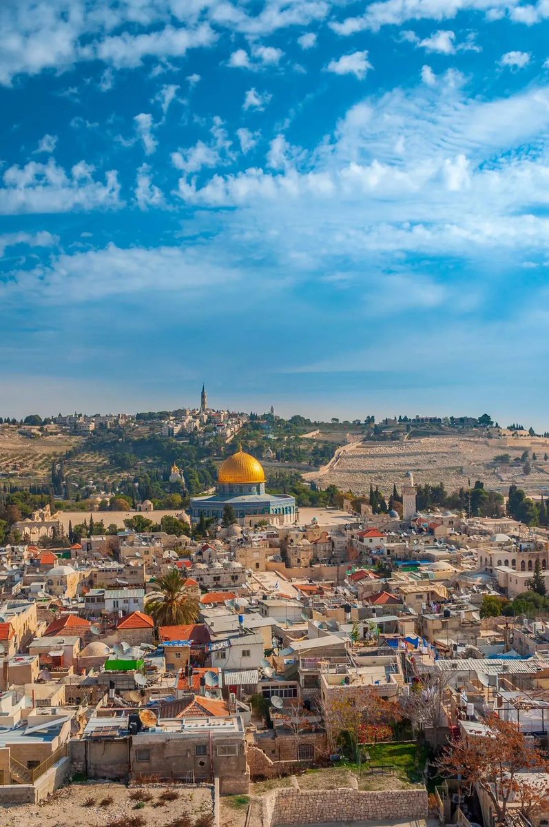 AyaIsleemEn's tweet photo. Good morning from Palestine https://t.co/uqkQdgCG2q