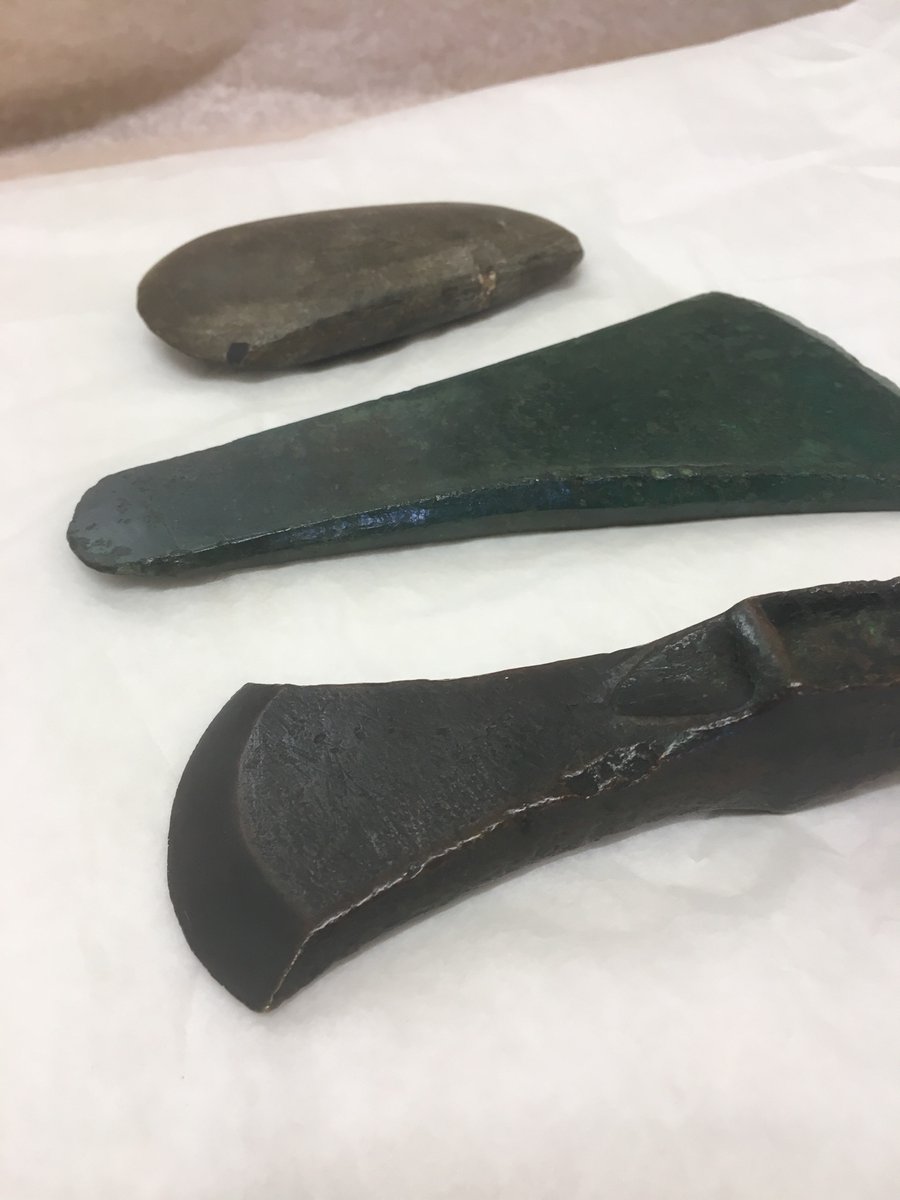 GressenhallFW's tweet photo. Here are a few hafted #Neolithic and #BronzeAge #axeheads that feature in our 2023 temporary exhibition #FromAxesToAcorns - and plenty more in our #FirstFarmers gallery on permanent display! https://t.co/CDyZRlnx9o