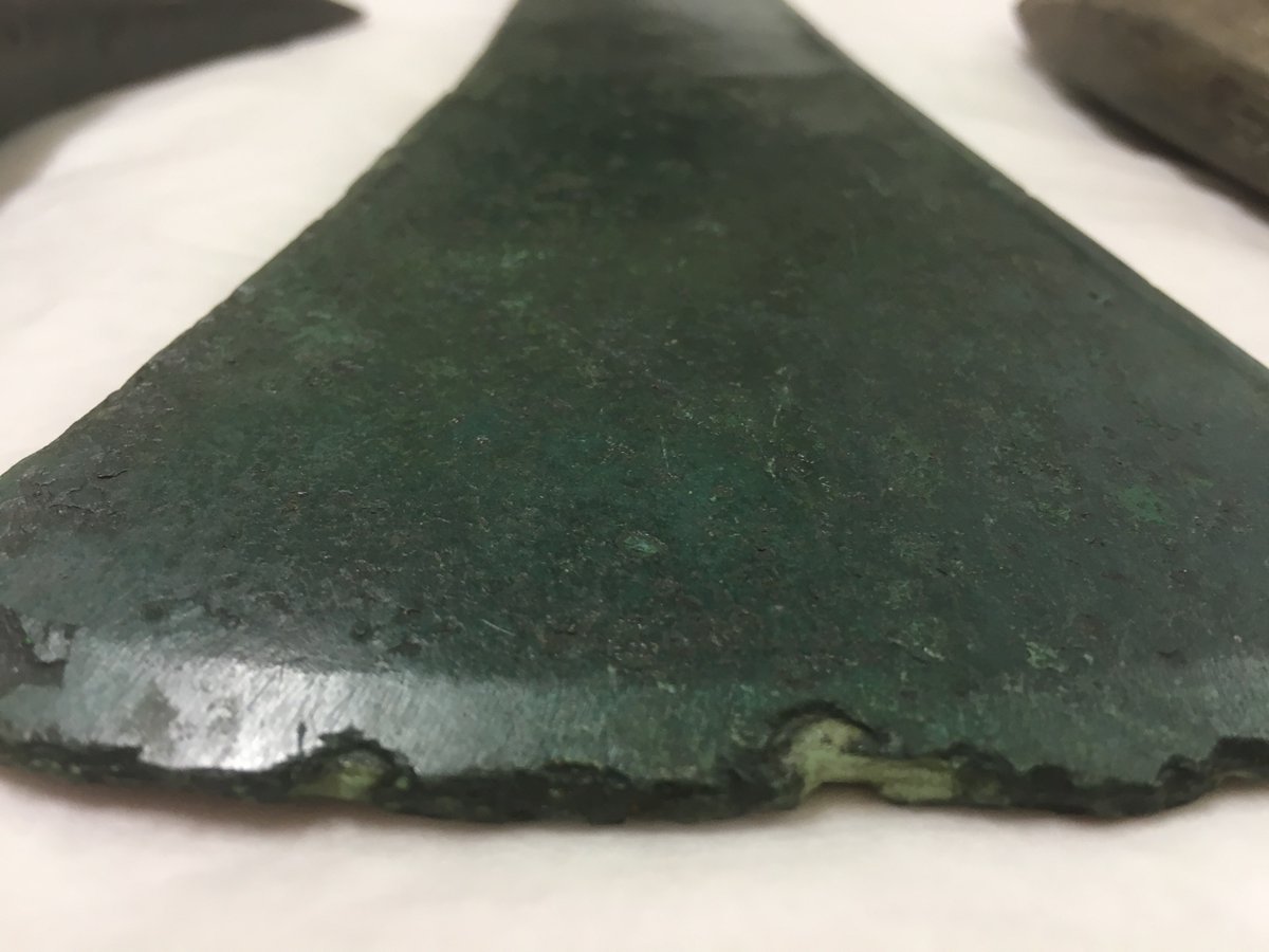 GressenhallFW's tweet photo. Here are a few hafted #Neolithic and #BronzeAge #axeheads that feature in our 2023 temporary exhibition #FromAxesToAcorns - and plenty more in our #FirstFarmers gallery on permanent display! https://t.co/CDyZRlnx9o