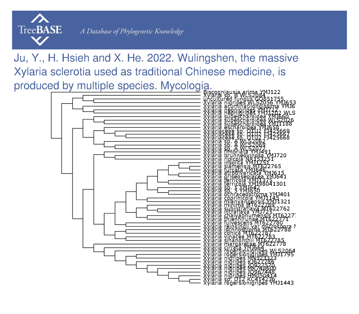 treebase's tweet photo. Yu-Ming Ju and colleagues shared their data with #TreeBASE on Mar 24, 2023. #Mycologia

https://t.co/QaMl3vMFq2 https://t.co/xK97wLlifE