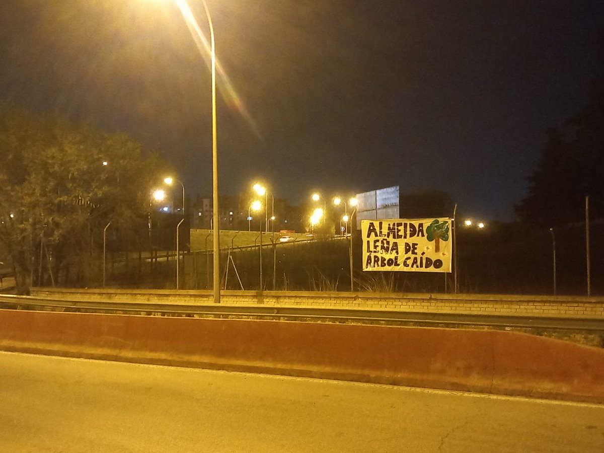 🌲Perdemos 1000 árboles y ganamos otro centro logístico en #Villaverde para seguir siendo el vertedero de Madrid

❌Más tráfico pesado y contaminación = menos salud para vecinas/os

¡Defendemos un barrio verde, habitable y con industria limpia! ¡Almeida será leña de árbol caído!
