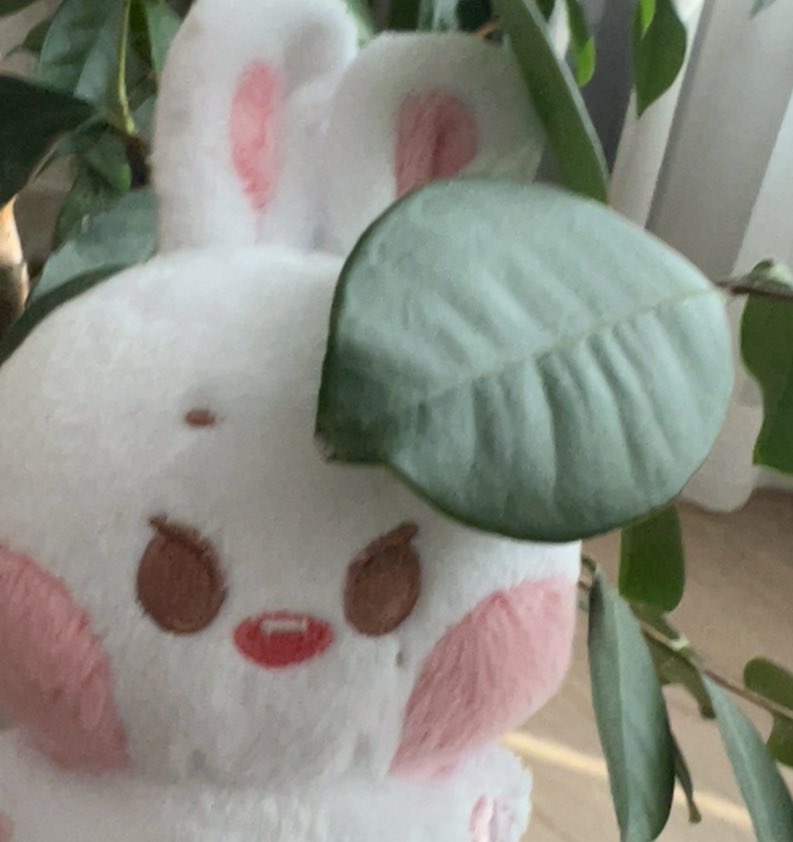 onlyeeu's tweet photo. 아기 토끼 뽀솜이가 우리 집에 왔어요 🐰
#뽀솜이는_이뻐서_이뽀솜 https://t.co/esX6HTdzvo