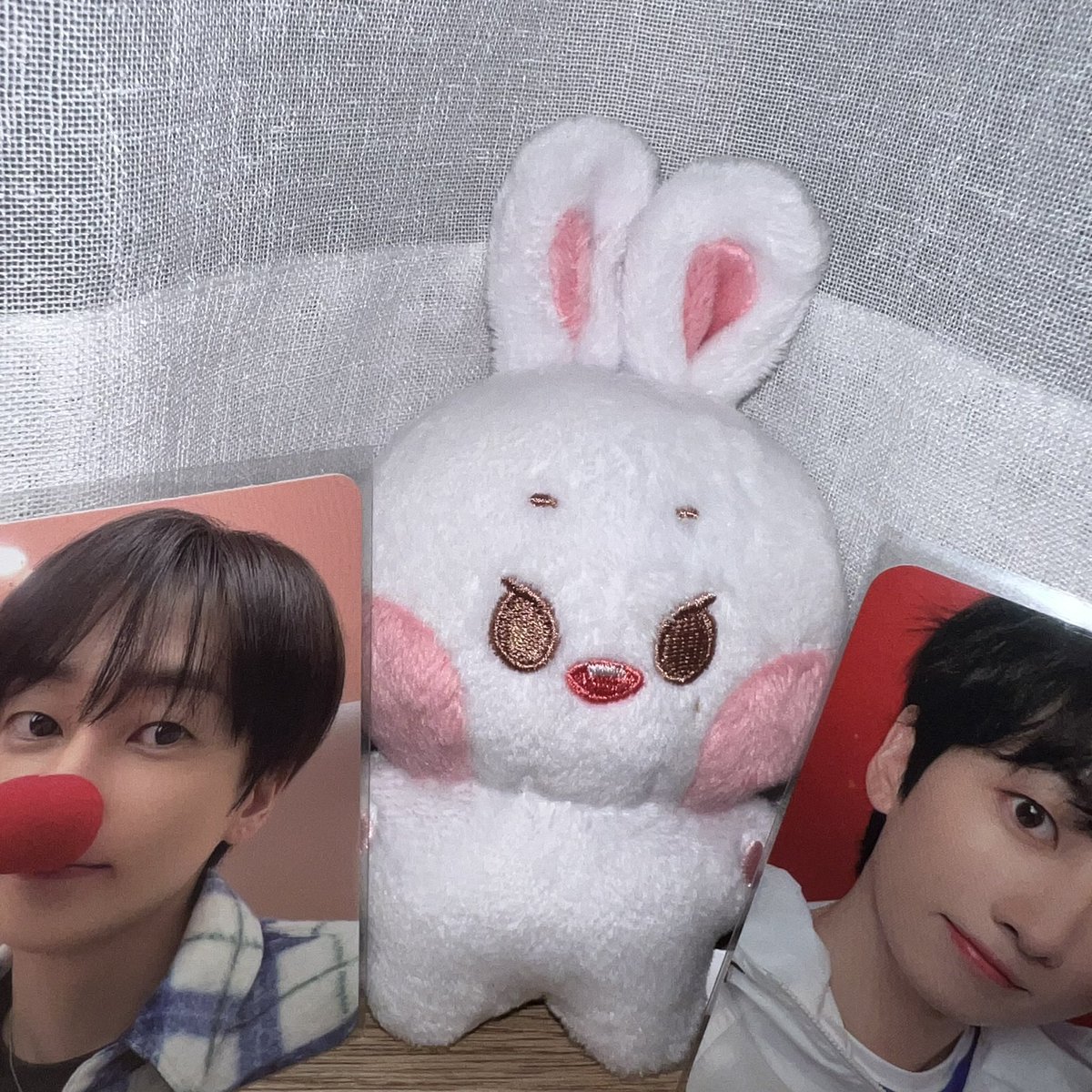 onlyeeu's tweet photo. 아기 토끼 뽀솜이가 우리 집에 왔어요 🐰
#뽀솜이는_이뻐서_이뽀솜 https://t.co/esX6HTdzvo