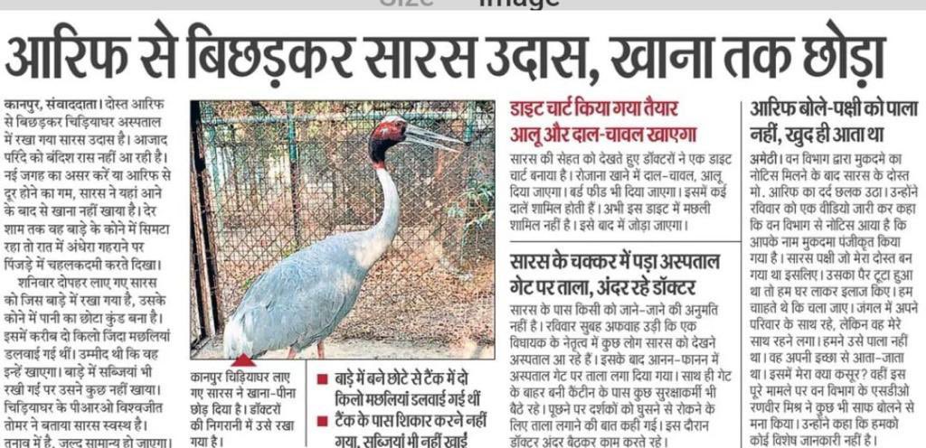 yadavakhilesh's tweet image. सारस है उदास, ये कैसा अमृतकाल.