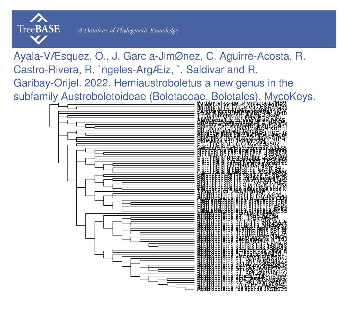 treebase's tweet photo. Olivia Ayala-VÃ¡squez and colleagues shared their data with #TreeBASE on Mar 28, 2023. @MycoKeys

https://t.co/0Eh0hwrPBM https://t.co/Wue4njQfpP