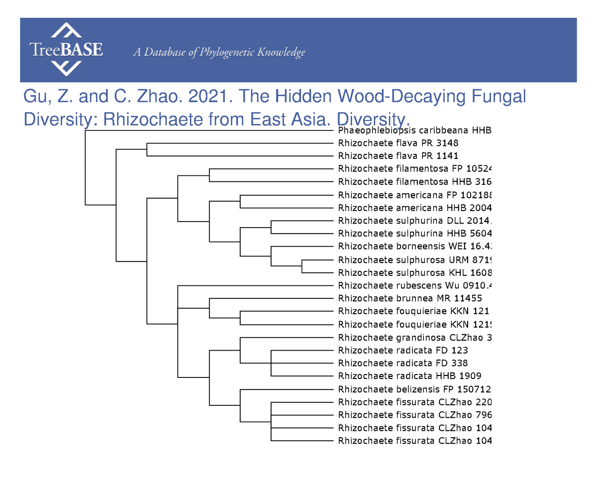 treebase's tweet photo. ZiRui Gu and Chang Zhao shared their data with #TreeBASE on Mar 28, 2023. @MDPIOpenAccess

https://t.co/AlKbFF2C4S https://t.co/MZTp9Cnbla