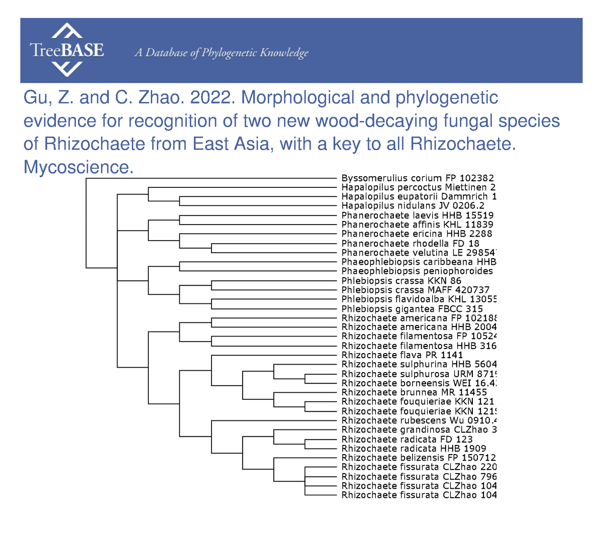 treebase's tweet photo. ZiRui Gu and Chang Zhao shared their data with #TreeBASE on Mar 28, 2023. @Mycology_Japan

https://t.co/TaMRxgknQr https://t.co/3XGgD3nWer