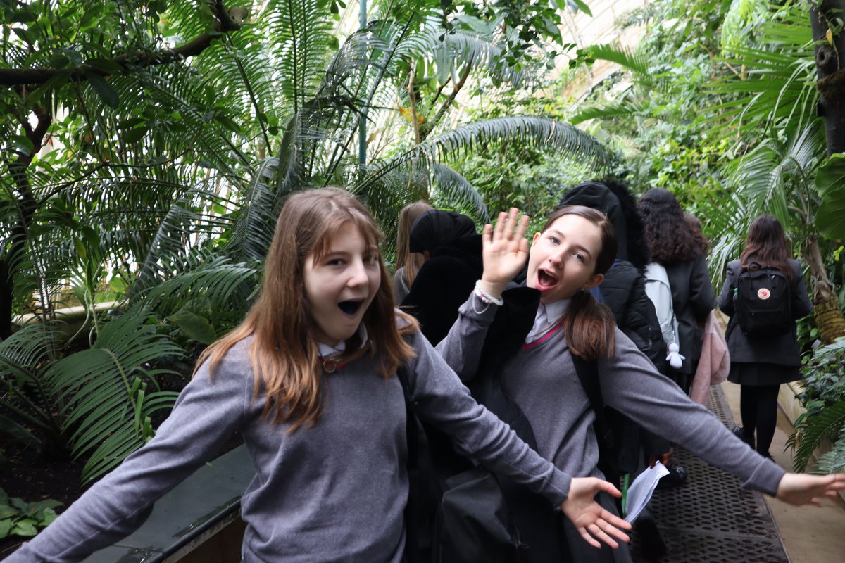 EGA School tweet media