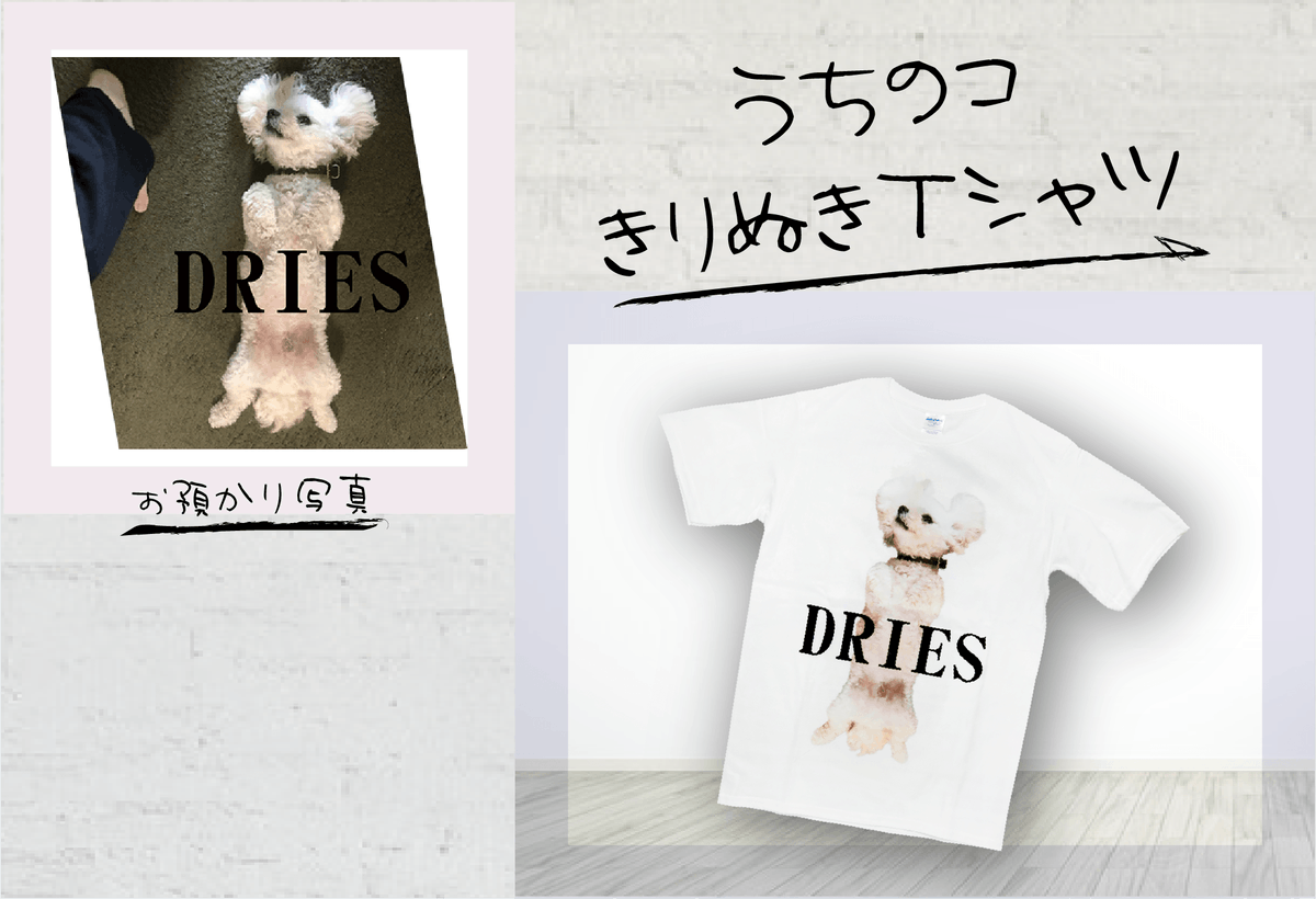colcolle_jp's tweet photo. 【制作事例】
T様より「うちのコきりぬきTシャツ」をご注文いただきました。

ご注文ありがとうございました！

 #カラコレ #オリジナルグッズ #グッズ #制作事例 #Tシャツ #オリジナルTシャツ #白Tシャツ https://t.co/ze8IdJnigp