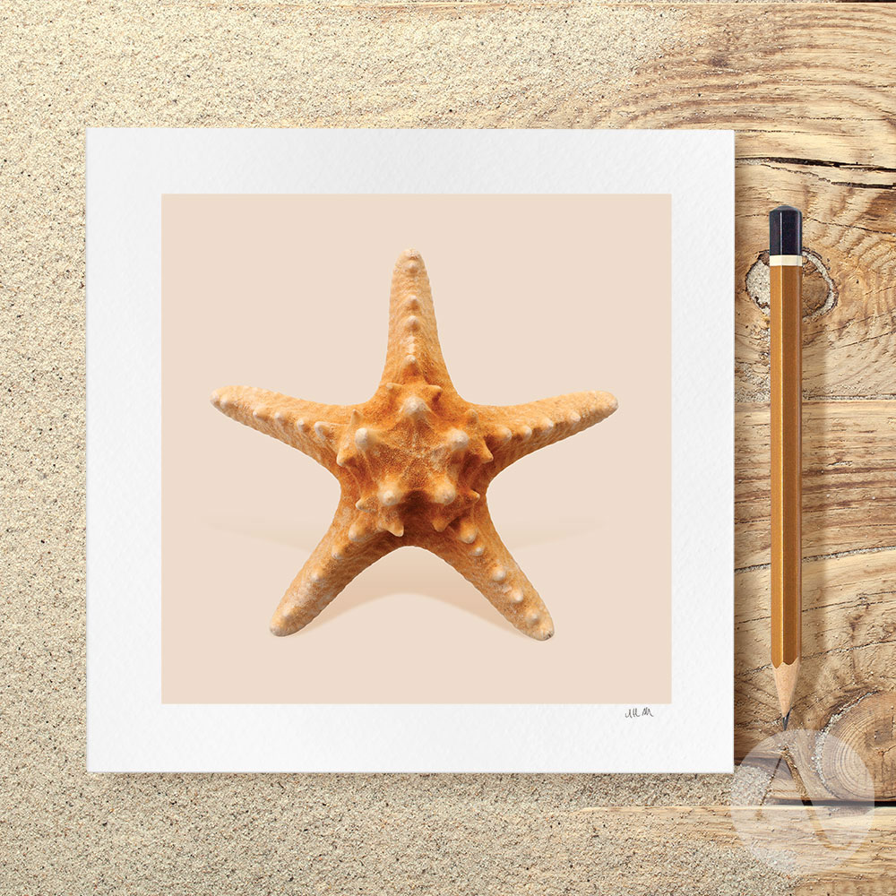 One of the ocean’s most legendary and recognisable inhabitants, this magnificent Starfish comes as an art print or greetings card. 

Available from abbottandallen.co.uk 

#starfish #CraftBizParty #UKmakers #shopindie #nature #stars #mussels #artprints #greetingcards #sealife