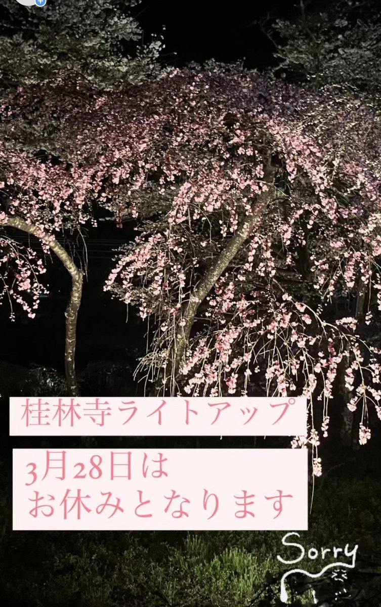 suirennotera's tweet photo. 本日のライトアップはお休みとさせて頂きます。
ご迷惑をおかけいたしますが、ご理解の程宜しくお願い申し上げます🙇 https://t.co/KwdWknqDF1