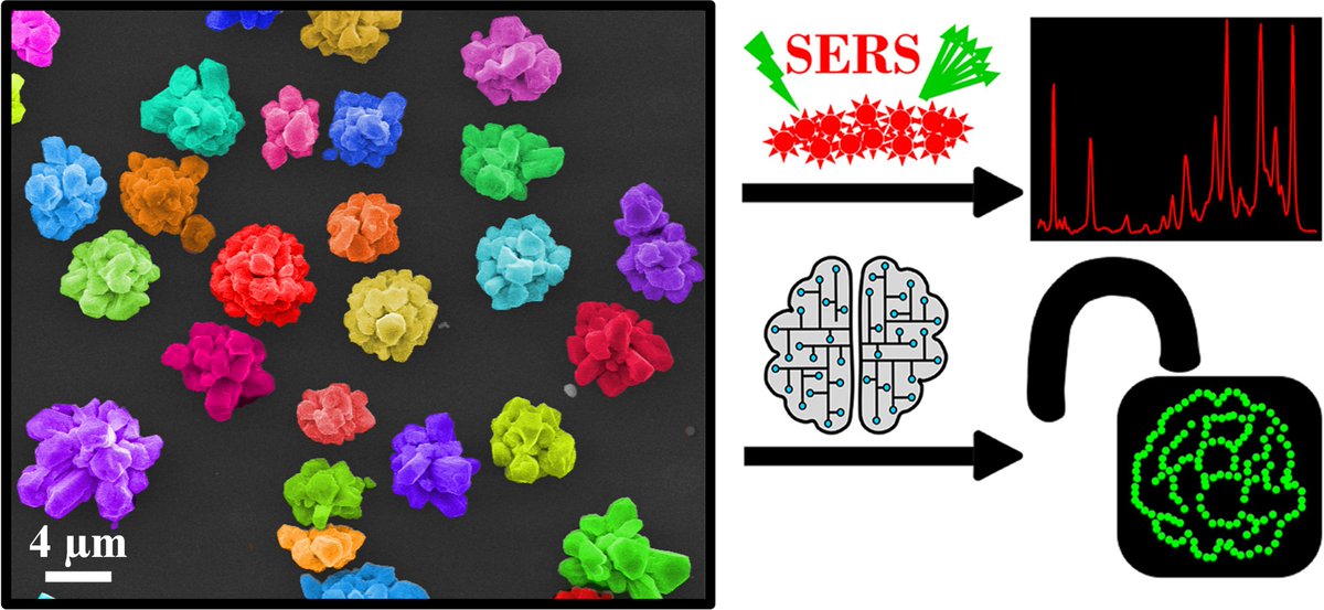 Nanoflowers as encoding elements!
Our most recent publication is now available online at  Materials Today Chemistry @MaterialsToday 
authors.elsevier.com/a/1gfZ08nHhtL3…