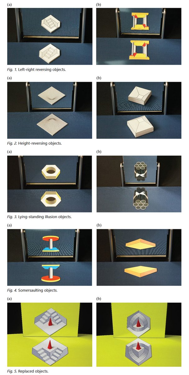 "Five types of anomalous perceptions created by the same mirror-reflection process" written by Kokichi Sugihara is now published in Journal of Illusion. doi.org/10.47691/joi.v…