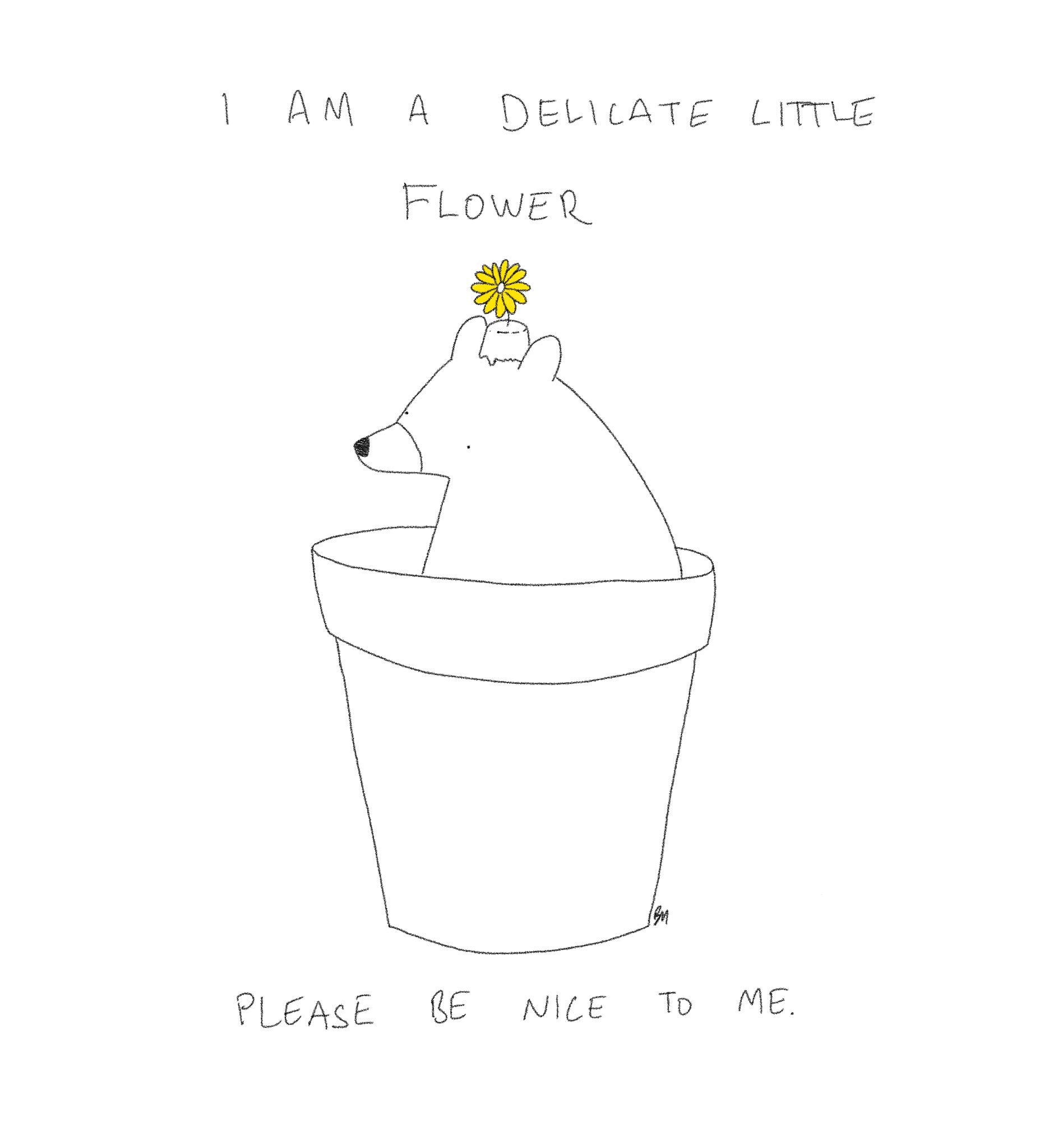 badly-drawn-bears-on-twitter-i-am-a-delicate-little-flower-please-be