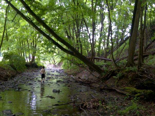 mushroomJenja's tweet photo. The simple life is the best life
#Pennsylvania #cricks #exploreyourworld https://t.co/TUA4bF23TH