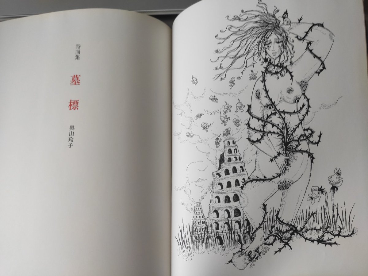 高質 奥山玲子 詩画集 墓標 iauoe.edu.ng
