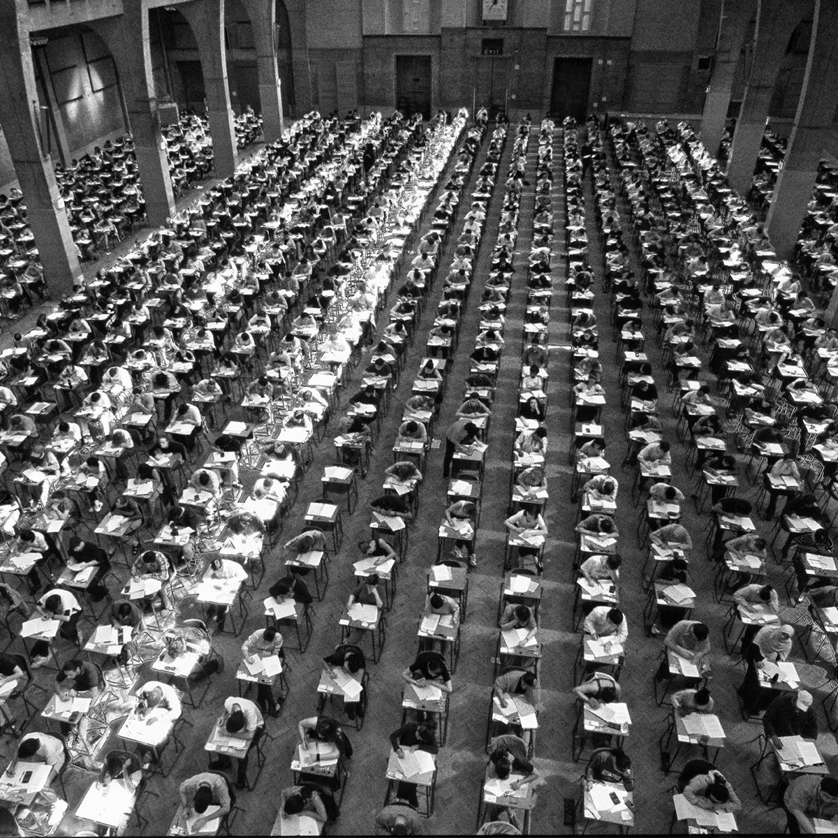 KCL Alumni tweet media