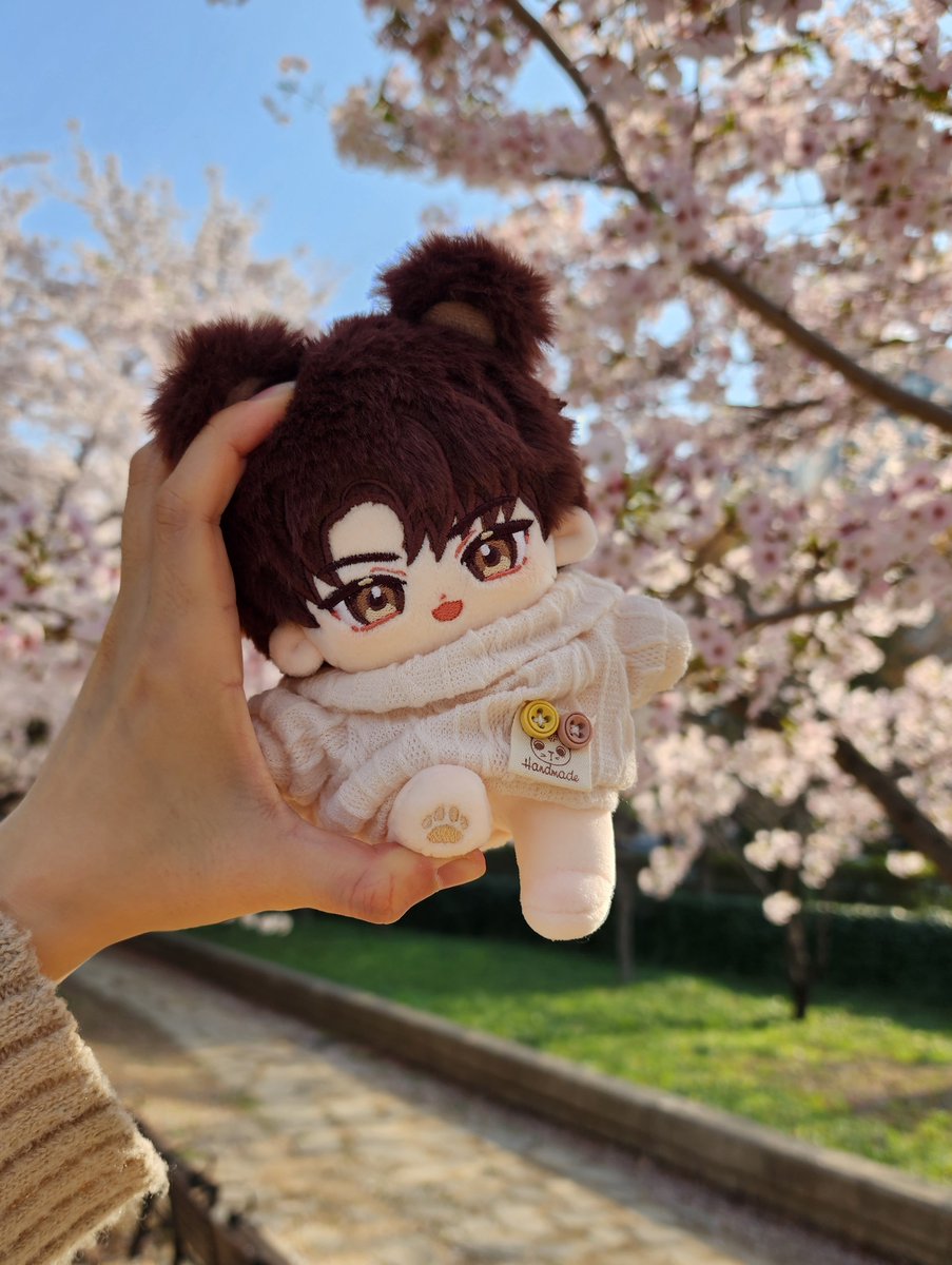 TvTgoo's tweet photo. 🌸🌸🌸 https://t.co/c54nCJPqXC
