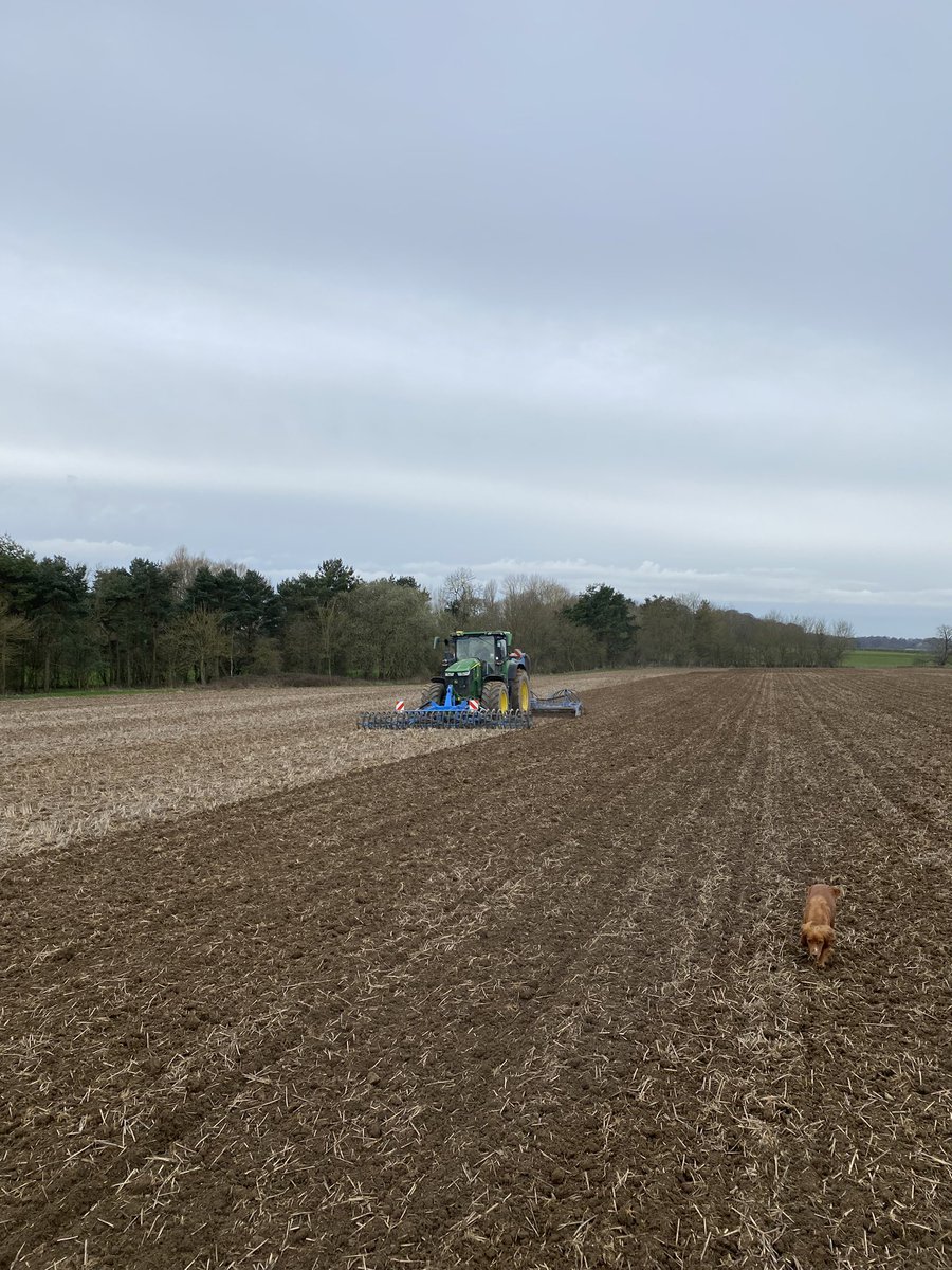 harryhuddart's tweet image. Rolling the dice #foolsspring 🤪