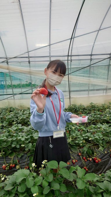 Twitterのコスプレ画像46