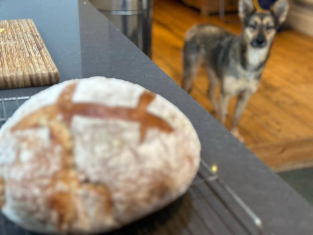 Rory Cellan-Jones tweet media