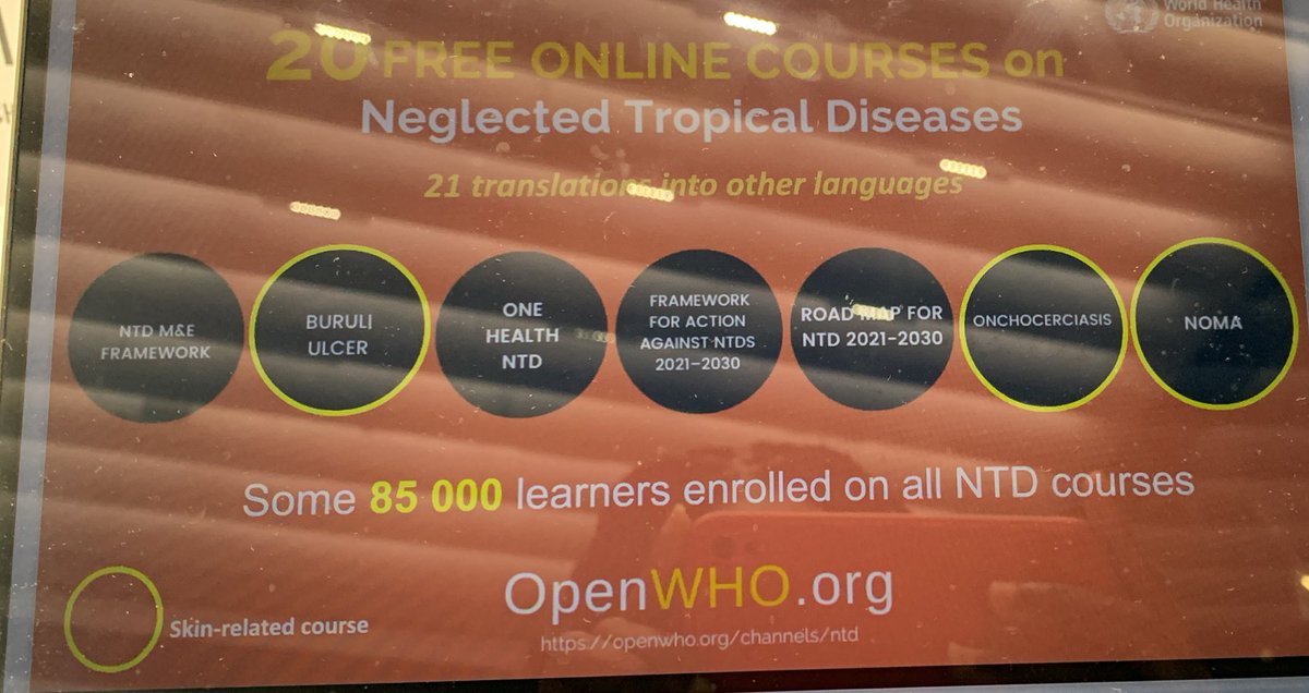 bernadette morkporkp tweet media