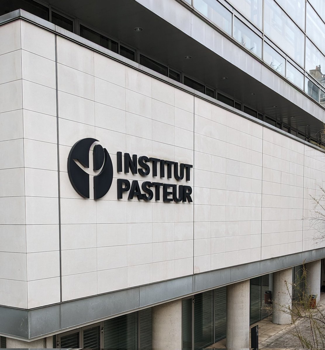 Aniket Saraf (@imaniketsaraf) on Twitter photo I'm excited to announce that I have joined as a #Postdoctoral researcher in the lab of Dr Muriel Gugger at the <a href="/institutpasteur/">Institut Pasteur, since 1887</a> !!
😃😃 I'm excited to announce that I have joined as a #Postdoctoral researcher in the lab of Dr Muriel Gugger at the <a href="/institutpasteur/">Institut Pasteur, since 1887</a> !!
😃😃