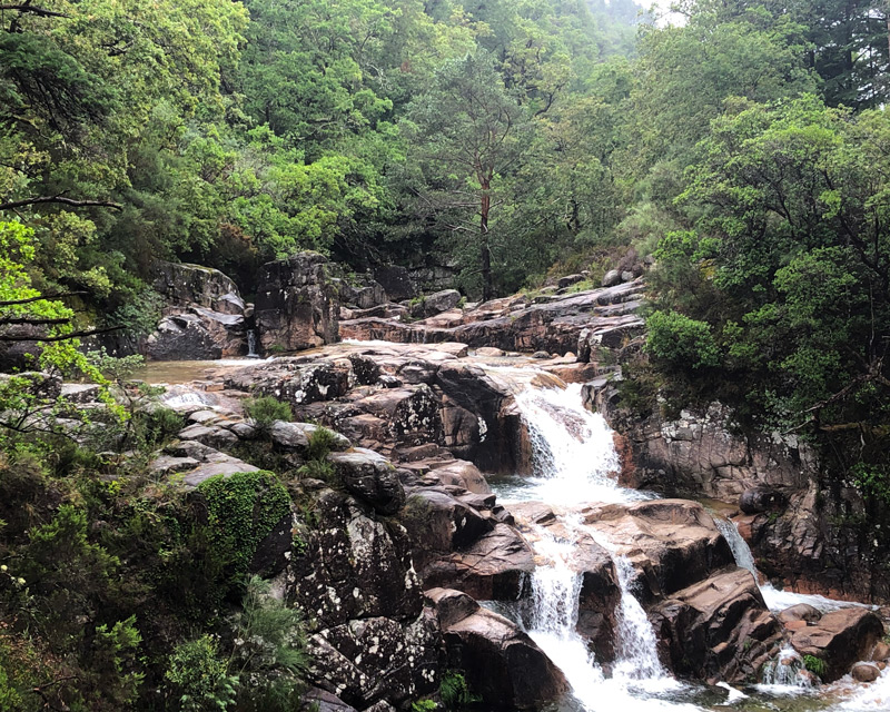 Alejandro GómezPazo on Twitter