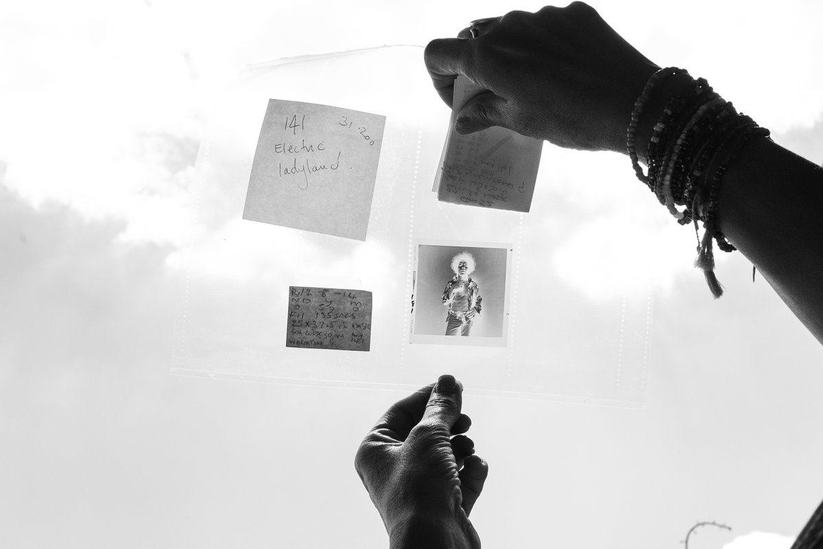 LostShoots 📷 tweet media