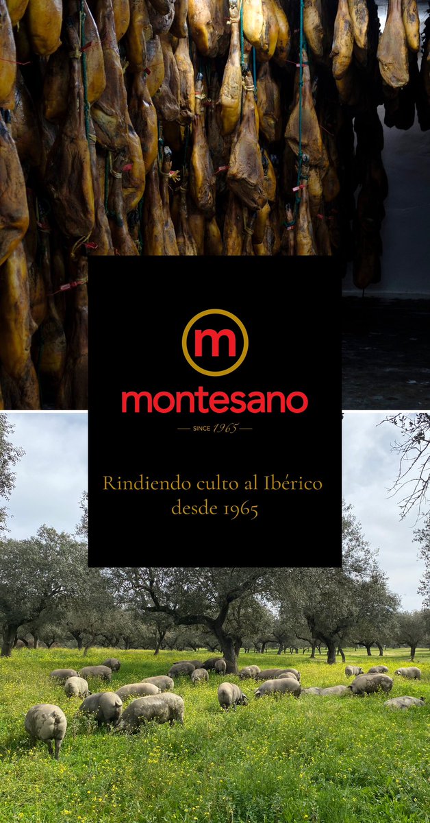 ¿Conoces ya los nuevos productos #gourmet que hemos incorporado en Prodesco?
Prodesco te presenta en exclusiva los productos de #Ibéricos #Montesano, 👉🏼bit.ly/40rKe3Z #prodescosa