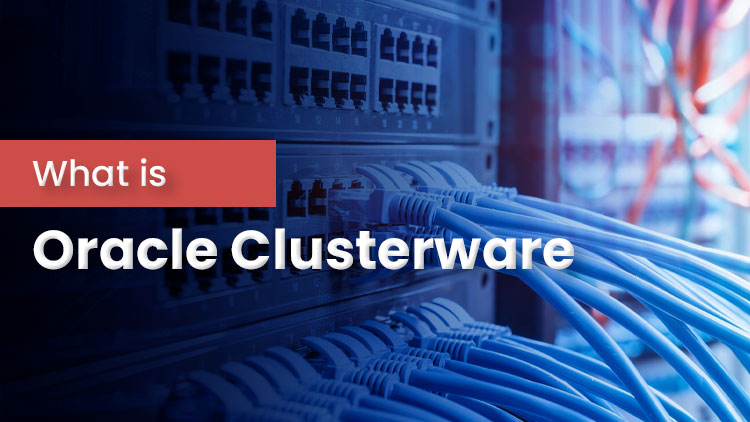 IPspecialistoff's tweet image. Oracle Clusterware is an essential component of Oracle&apos;s high-availability solutions. This article covers detailed knowledge of Oracle Clusterware.

Read it Here: ipspecialist.net/what-is-oracle… 

#oracle #OCI #oracleclusterware #cloud #cloudcomputing #oracleRAC #infrastructure