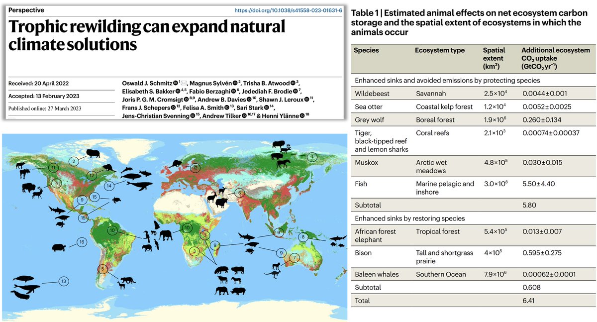 Blai Vidiella tweet media