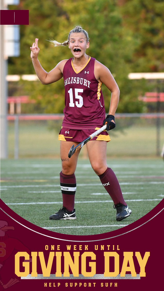 We are one week away from Giving Day!  We have 3 challenge gifts and hope you will help us unlock them!  #GoGulls #SUFH #SUGivingDay