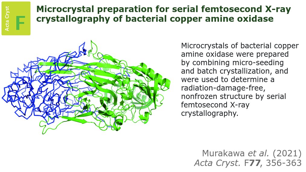 ActaCrystF's tweet photo. This Methods Communication describes a method for the large-scale preparation of high-quality #Microcrystals of uniform size for #SerialFemtosecondCrystallography studies at #FreeElectronLasers https://t.co/FZhw1kwKFD https://t.co/6sJxk7IBVs
