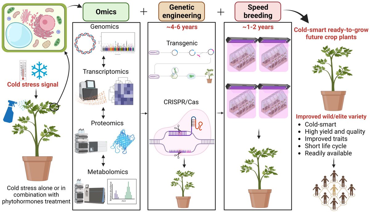 We suggest that integrating #omics🧬, #GeneticEngineering ✂️&amp; #SpeedBreeding💡can help plant scientists👩‍🔬 👨‍🔬 to develop stress-smart❄️🌡, high-yielding #cultivars🌽🌾🪴with improved #traits that are readily available👨‍🌾&amp; can help to 🍲the growing 👩‍👩‍👧‍👧👨‍👧‍👧🌎 

🖇sciencedirect.com/science/articl…