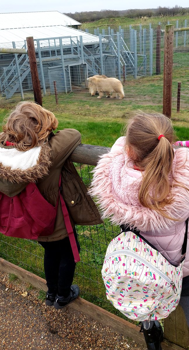 maybury_class2's tweet photo. We had a fantastic (but very wet ☔️) day @YorkshireWP - We saw, and learnt about, lots of animals! @Maybury_School @Maybury_School a https://t.co/RwEFrA2UnT