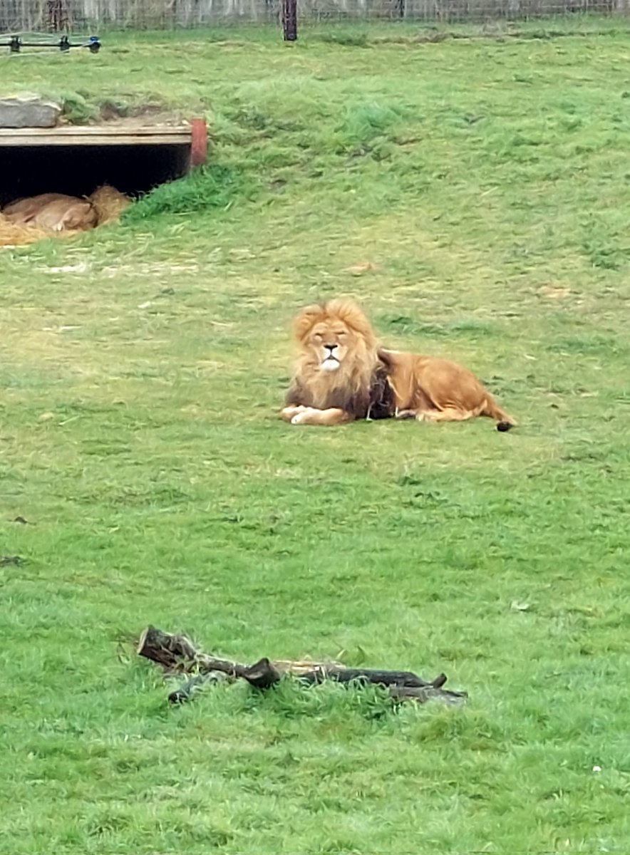 maybury_class2's tweet photo. We had a fantastic (but very wet ☔️) day @YorkshireWP - We saw, and learnt about, lots of animals! @Maybury_School @Maybury_School a https://t.co/RwEFrA2UnT