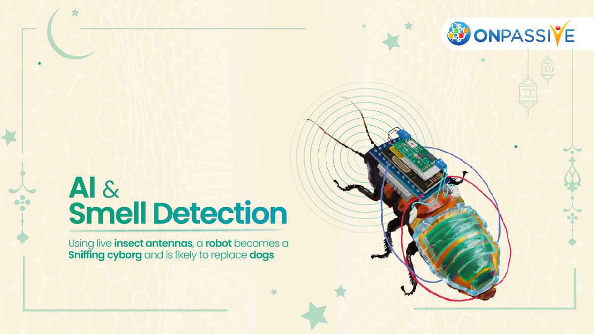 ONPASSIVE's tweet image. To improve security checks at entry points and advance diagnosis of different diseases, scientists have developed an advanced four-wheeled bio-hybrid robot equipped with a biological sensor derived from locusts.

#smelldetection #biologicalsensor #biohybridrobot #ONPASSIVE…